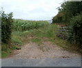 Field entrance, Llangua