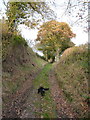 A rather damp byway above Broomhill