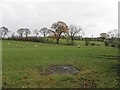 Sixmilecross Townland