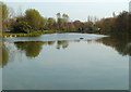 Lark Pool, Meadow View Fisheries, Statham