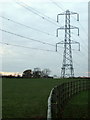 Pylon on the sports field