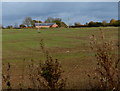 Farmland next to Mere Farm