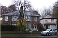 Houses on Pierremont Gardens