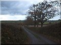 Chaffcombe Lane leading to A377