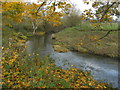River Yeo in late autumn