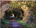 South Staffordshire Railway Walk at Wombourne