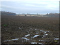 Farmland near Carr House