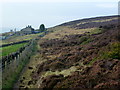 The southern edge of Midgely Moor