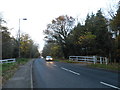 Christ Church Road by Epsom Common