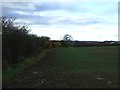 Farmland near Sprucely