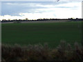 Farmland off the A177