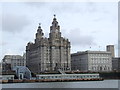SJ3390 : Royal Liver Building, Liverpool by Malc McDonald