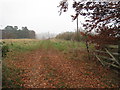 Farm track to Nursery Plantation