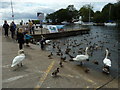 Antrim Marina, Antrim