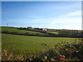 Field at Lancarrow