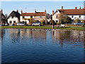 Cottages beyond Haddenham duck pond