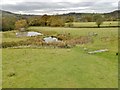 Duck ponds below Berristall Hall, Berristall Dale