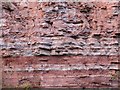 Devonian sandstone cliff, Jedburgh