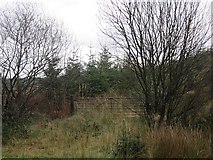 NX9594 : A gate no longer in use by Richard Webb