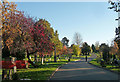 Path, West Norwood Cemetery (8)