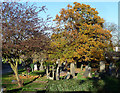 Various monuments, West Norwood Cemetery (17)