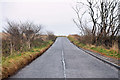 Minor road near Barns of Wedderburn