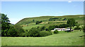 Hillside in Cwm Brefi, Ceredigion