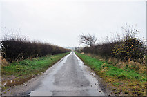NO5838 : Minor road near East Balmirmer by Steven Brown