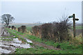 Path to Braeside playing fields