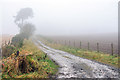 Farm track on Cairnconon Hill