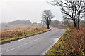 Minor road near Gask