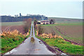 Farm road to Blairs of Dumbarrow