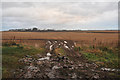 Farmland at Leightonhill