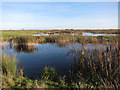 TL3773 : Ouse Fen, phase four by Hugh Venables