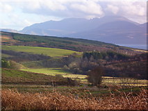 NR8558 : Farmland and forest on Kintyre by sylvia duckworth
