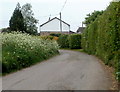 Waste Road approaches Corner House and Twyn-y-waste