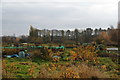 Clifton (Without) and Rawcliffe Allotments