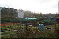 Clifton (Without) and Rawcliffe Allotments