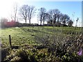 Cloghfin Townland