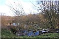 TQ7196 : Pond in Crowsheath Community Woodland by John Myers