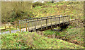 Footbridge, Dundonald (3)