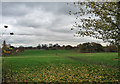 TQ3173 : Brockwell Park (2) by Stephen Richards