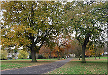 TQ3173 : Brockwell Park (7) by Stephen Richards