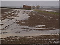TL1184 : Heavy rain causing flooding problems for arable land by Michael Trolove