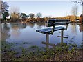 SP2755 : Bench by the footpath by David P Howard