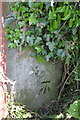 Benchmark on Kirkbridge road gatepost