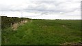 Arable land near Guyzance