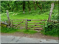 Gate and track at the edge of south Loch Earn