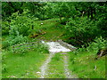 Footbridge over Allt Shuas, Fin Glen