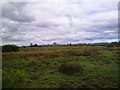 View over Boldon Flats